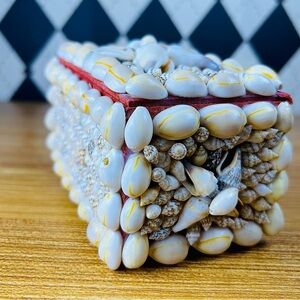 Small Seashell Trinket Box Natural Shell Coastal Decor Storage Jewelry Box
